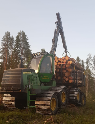 puun korjuu ja kuljetus