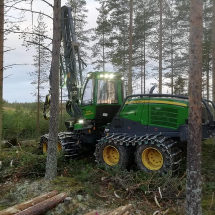 harvesteri metsässä