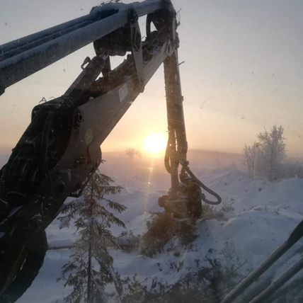 harvesterinpää